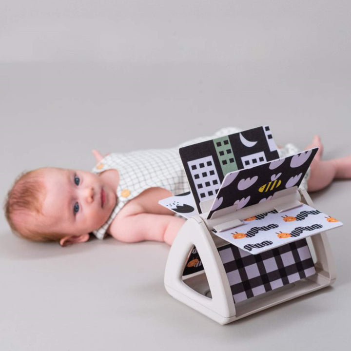 ספר פעילות זמן בטן גינה אורבנית