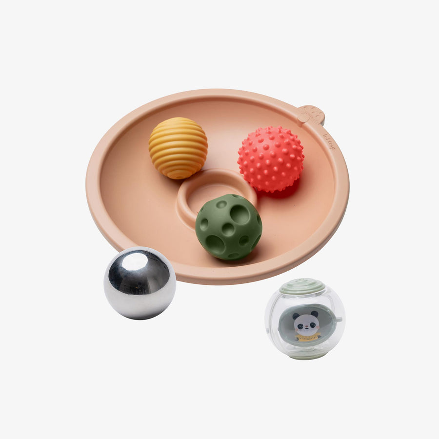 קערת התפתחות עם כדורים