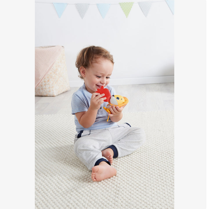 לאונרדו האריה חבר הפלא