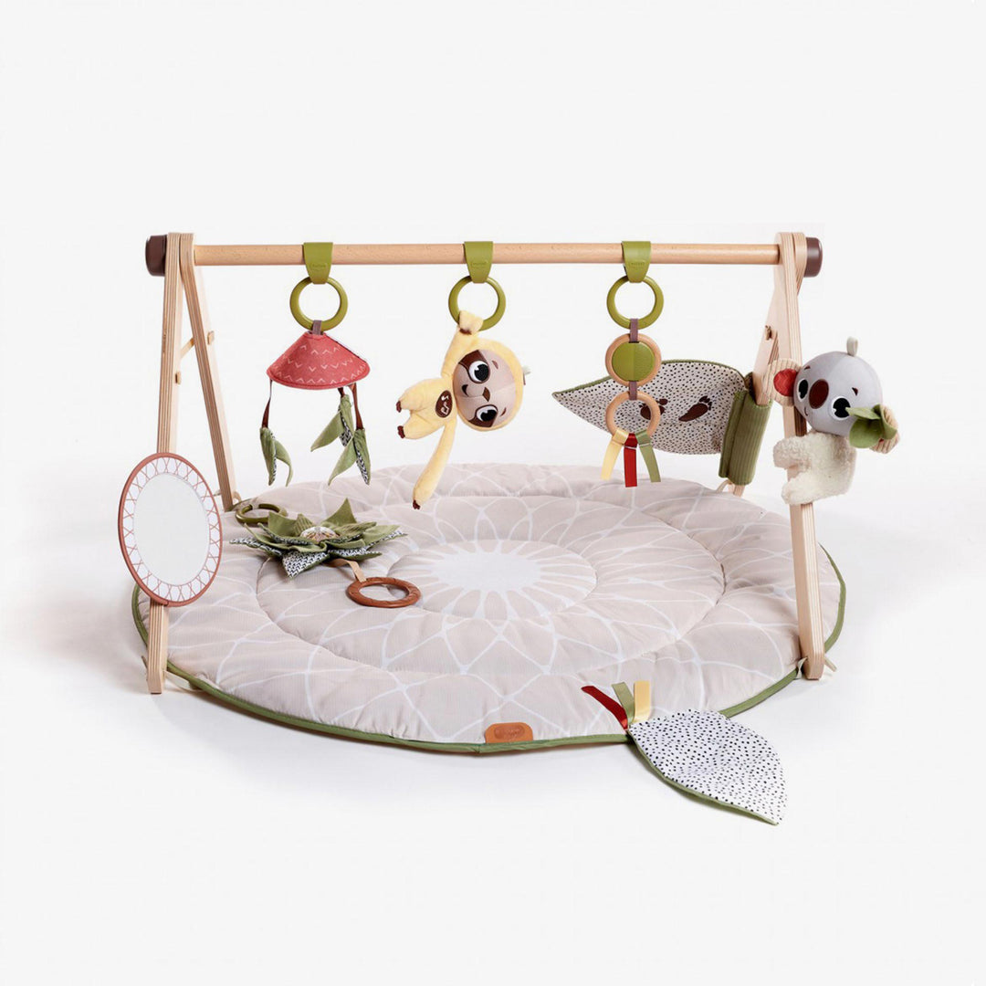 אוניברסיטה ג'ימיני משולב עץ בוהו שיק