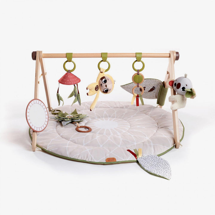 אוניברסיטה ג'ימיני משולב עץ בוהו שיק