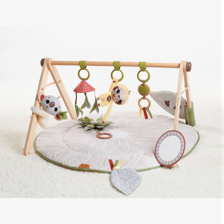 אוניברסיטה ג'ימיני משולב עץ בוהו שיק