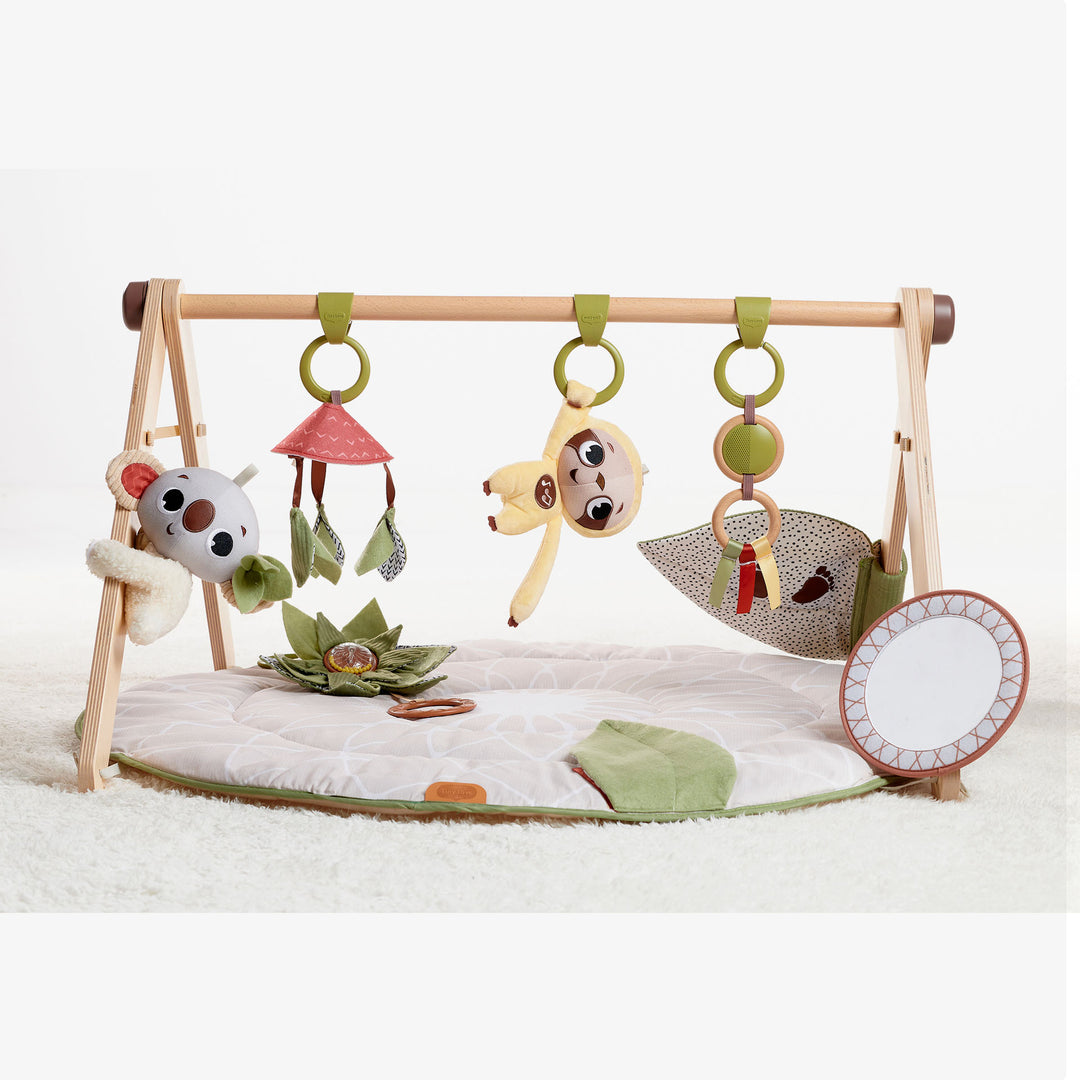 אוניברסיטה ג'ימיני משולב עץ בוהו שיק