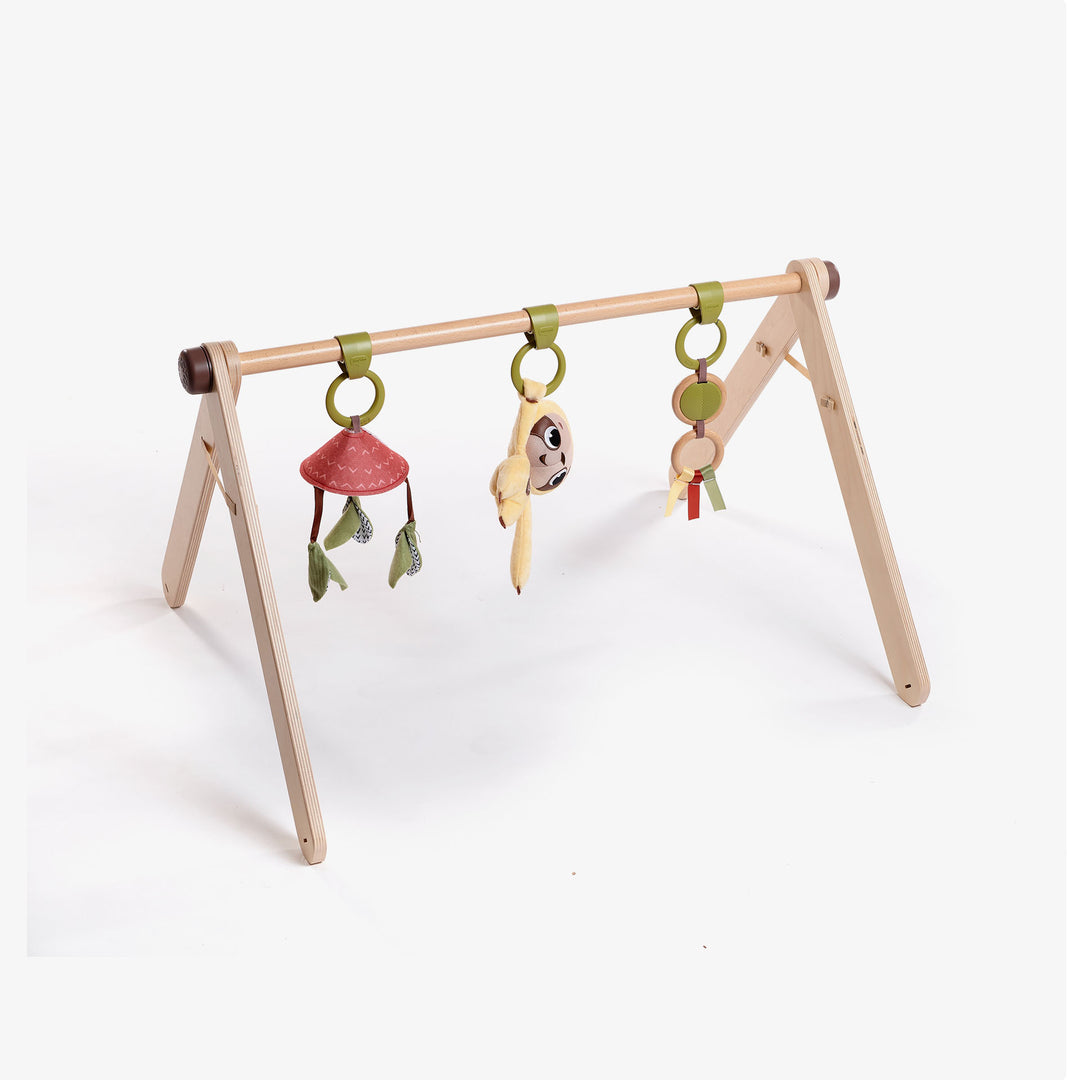 אוניברסיטה ג'ימיני משולב עץ בוהו שיק