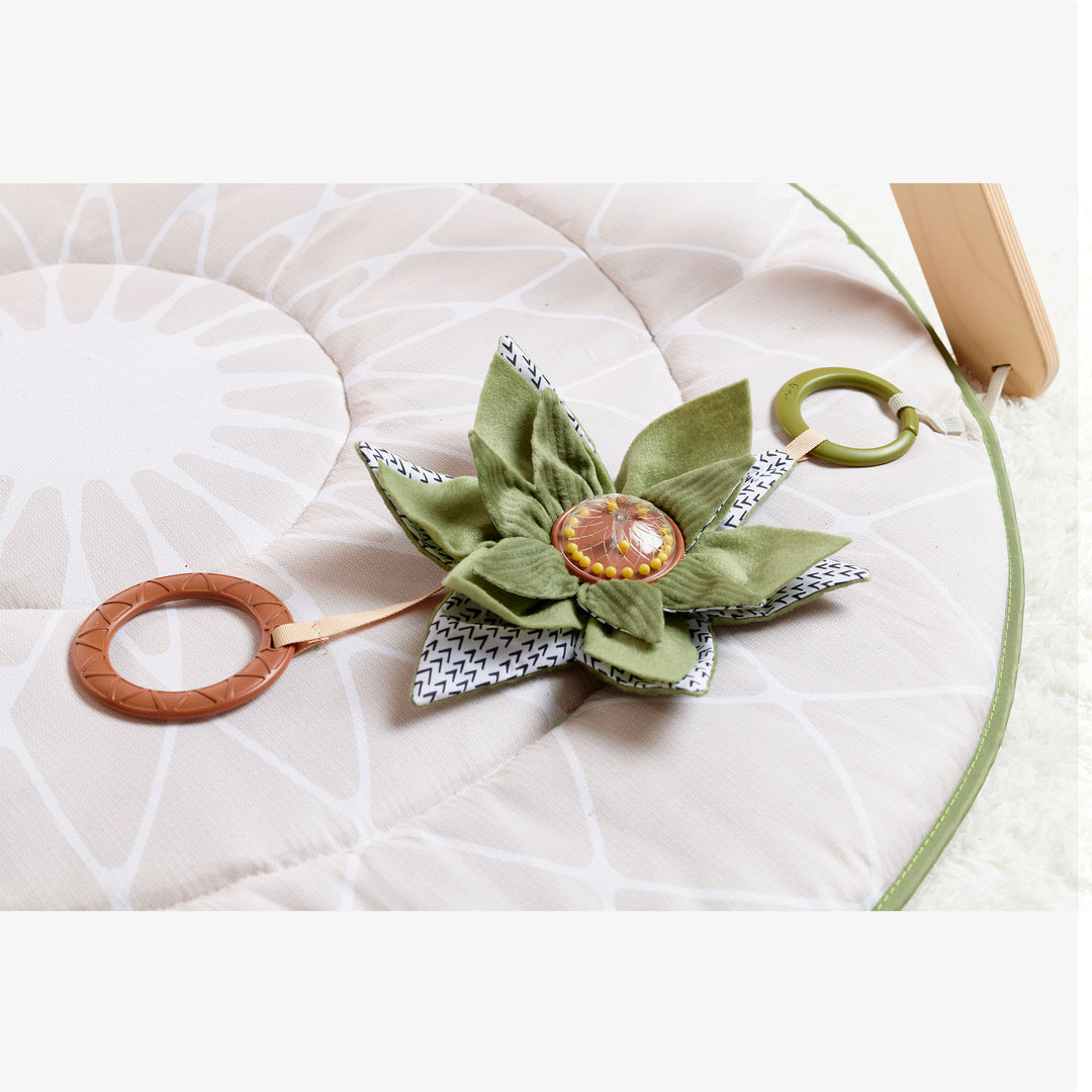 אוניברסיטה ג'ימיני משולב עץ בוהו שיק