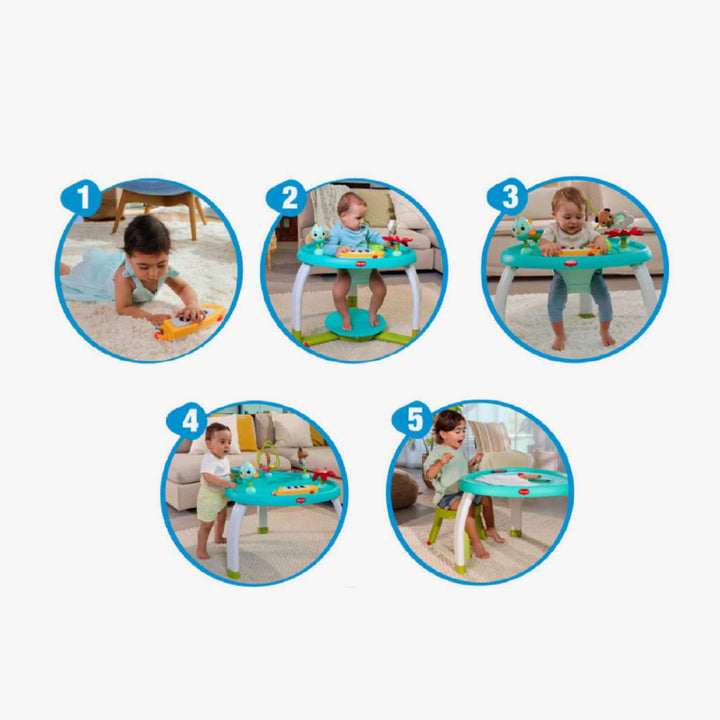 מרכז פעילות חיות באחו