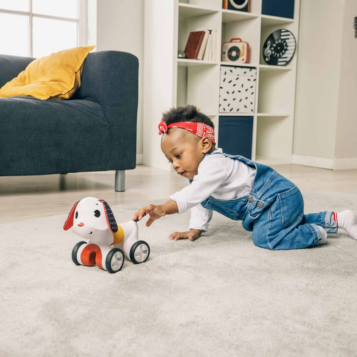 צ'ארלי כלב מתגלגל רוקנרול