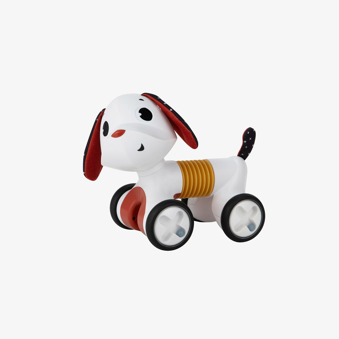 צ'ארלי כלב מתגלגל רוקנרול