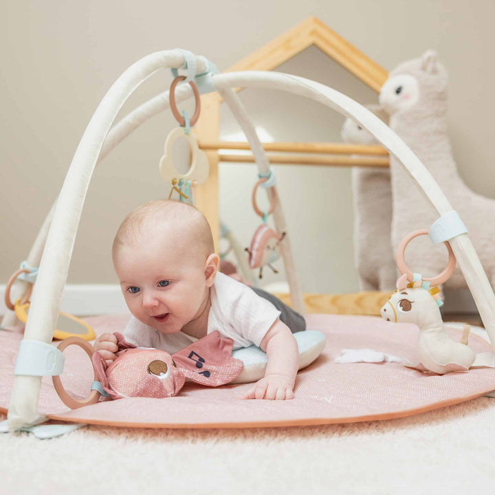 ג'ימיני יוניקורן