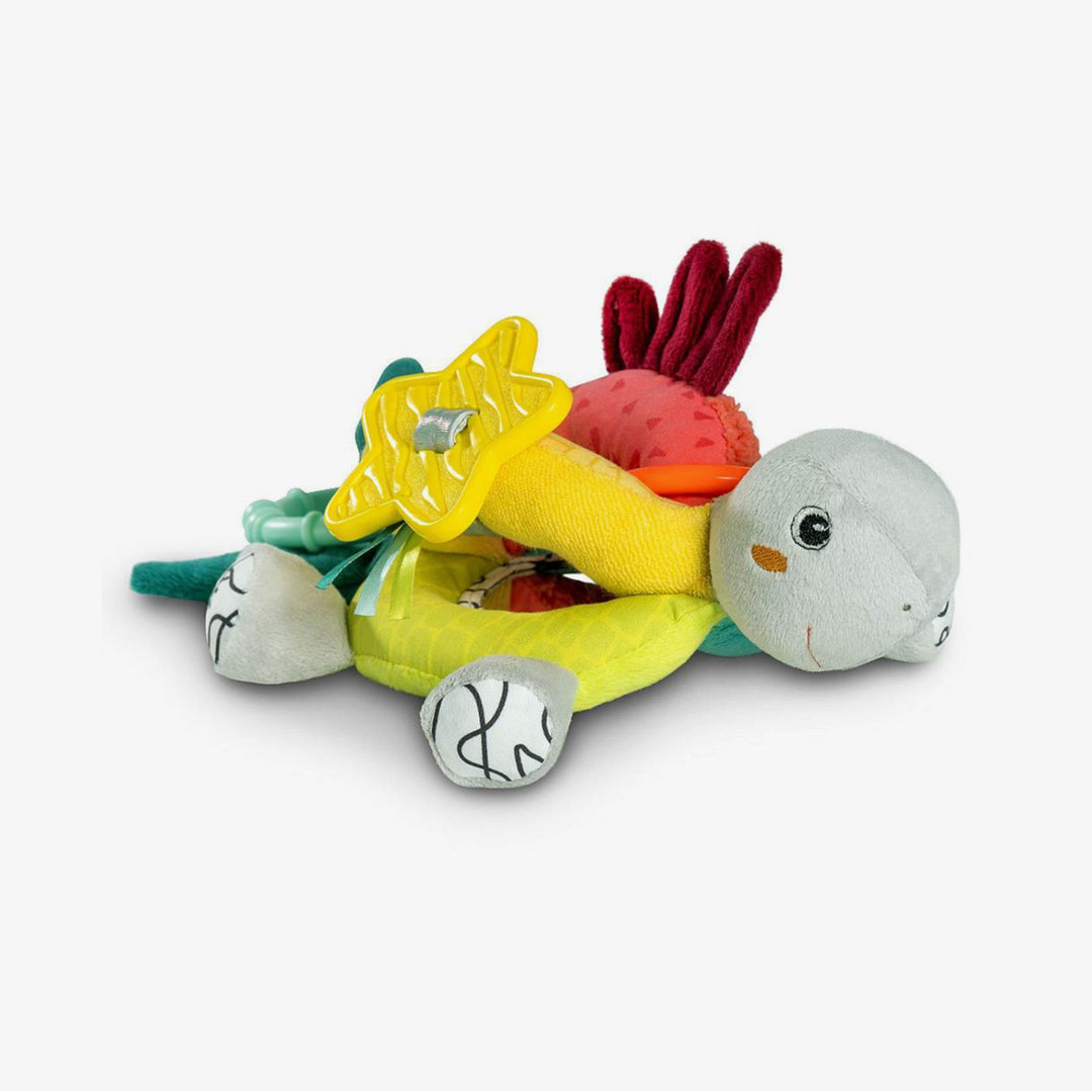 פעלולון צב לתלייה