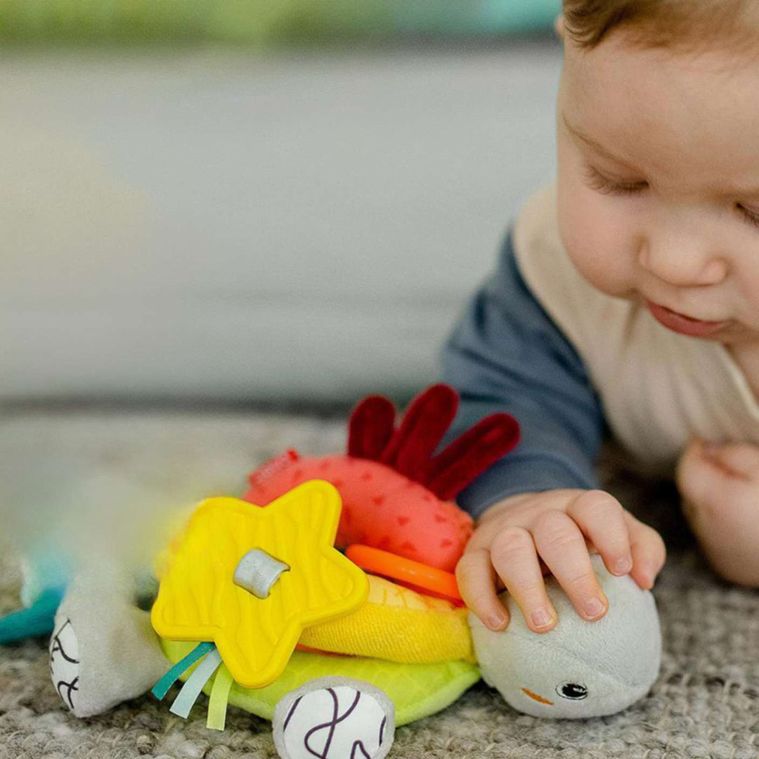 פעלולון צב לתלייה