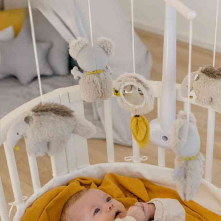 מובייל מוזיקלי קואלה