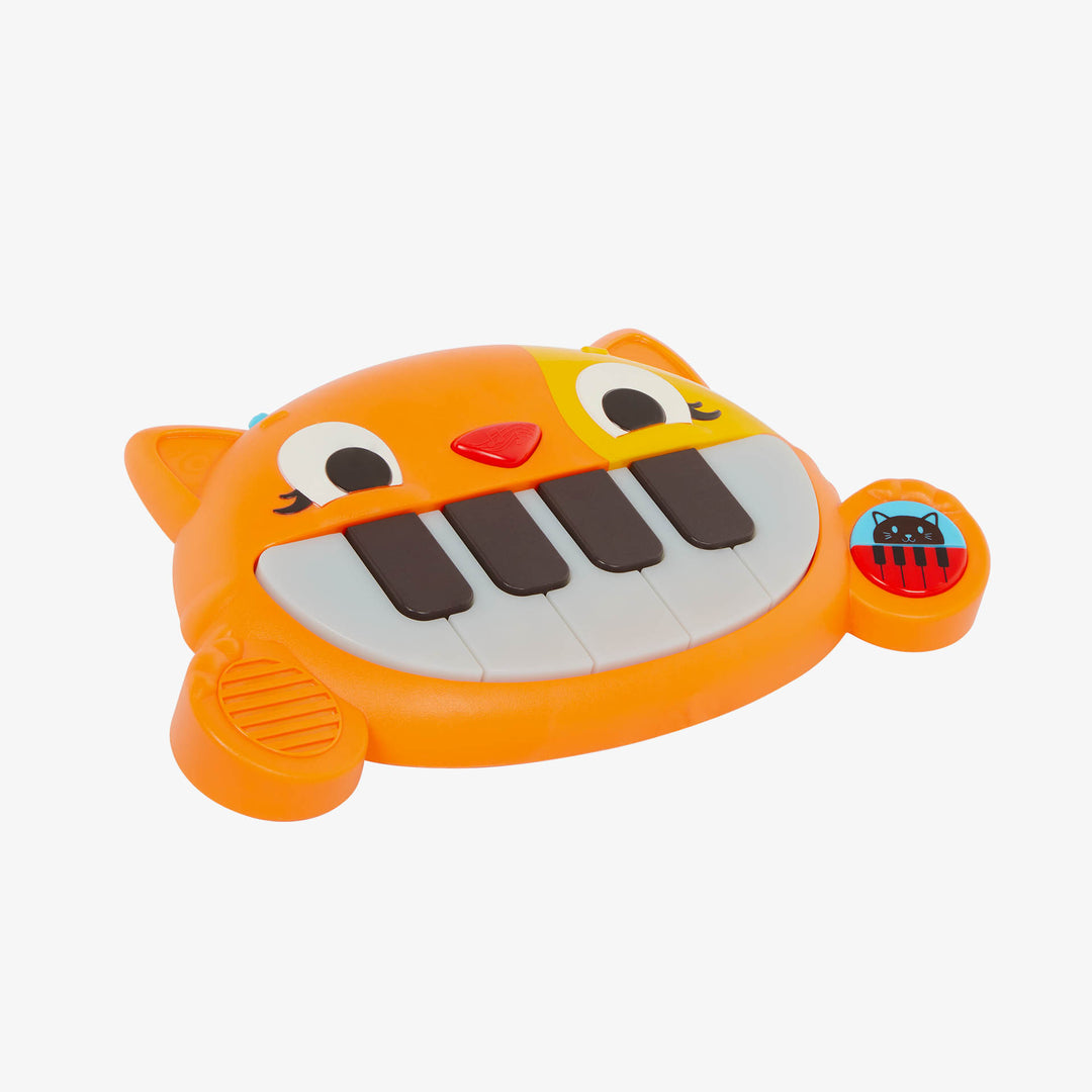 מיני אורגן חתול