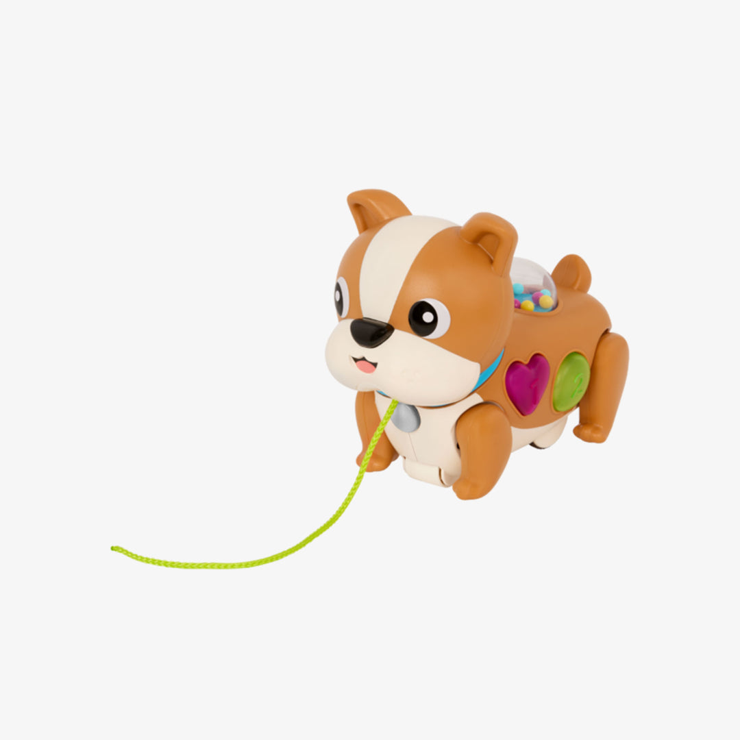 כלבלב משיכה אורקולי