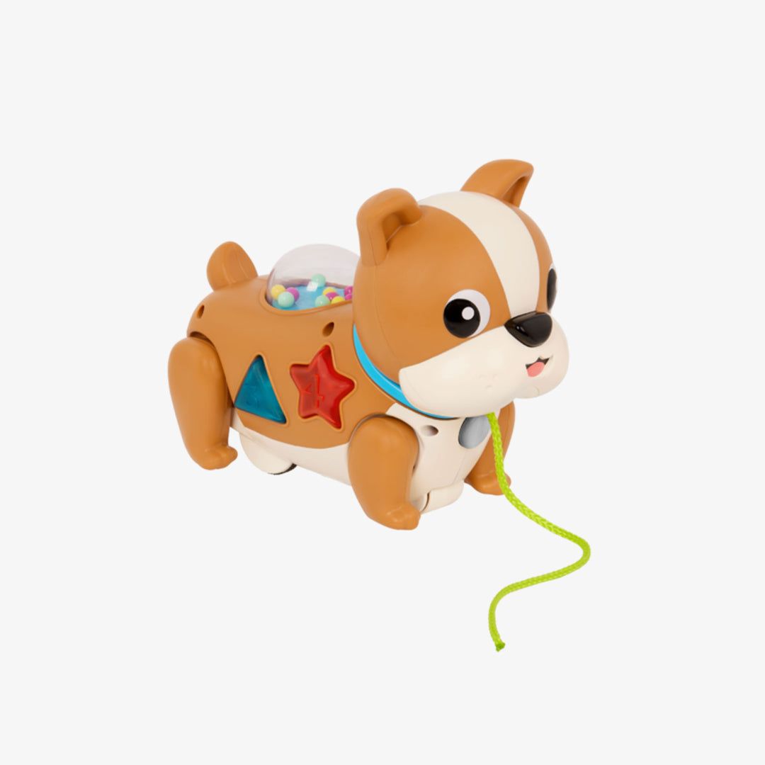 כלבלב משיכה אורקולי