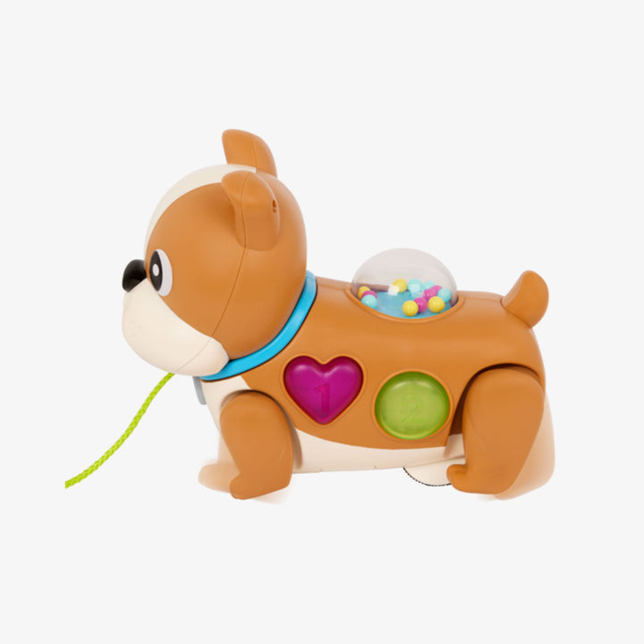 כלבלב משיכה אורקולי