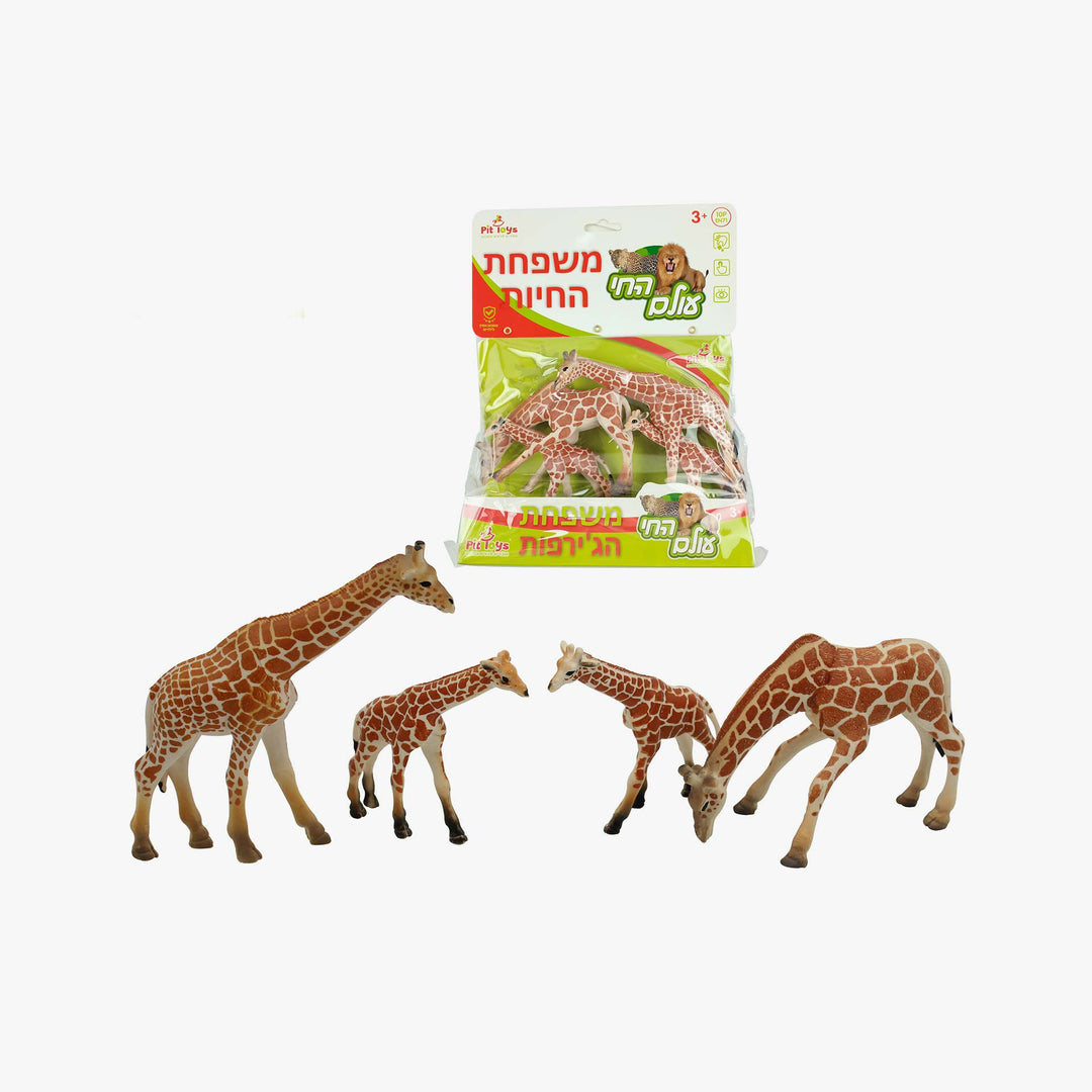 משפחת הג'ירפות