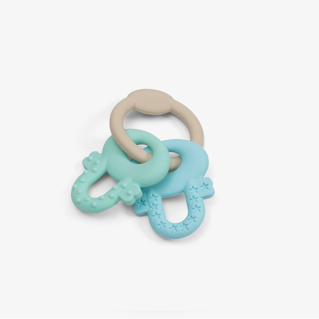 נשכן סיליקון מנעולים