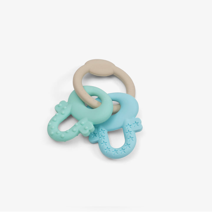 נשכן סיליקון מנעולים