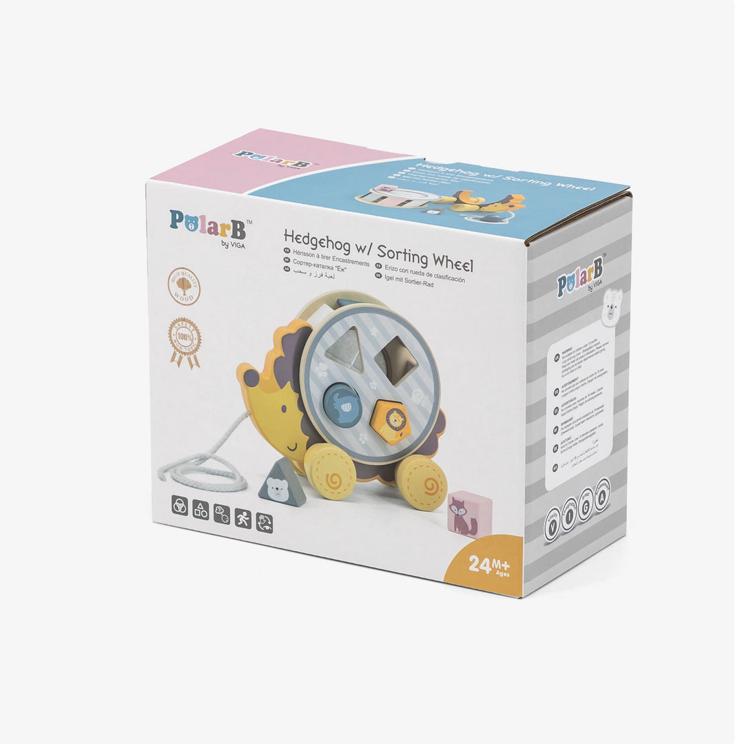 קיפוד התאם צורה