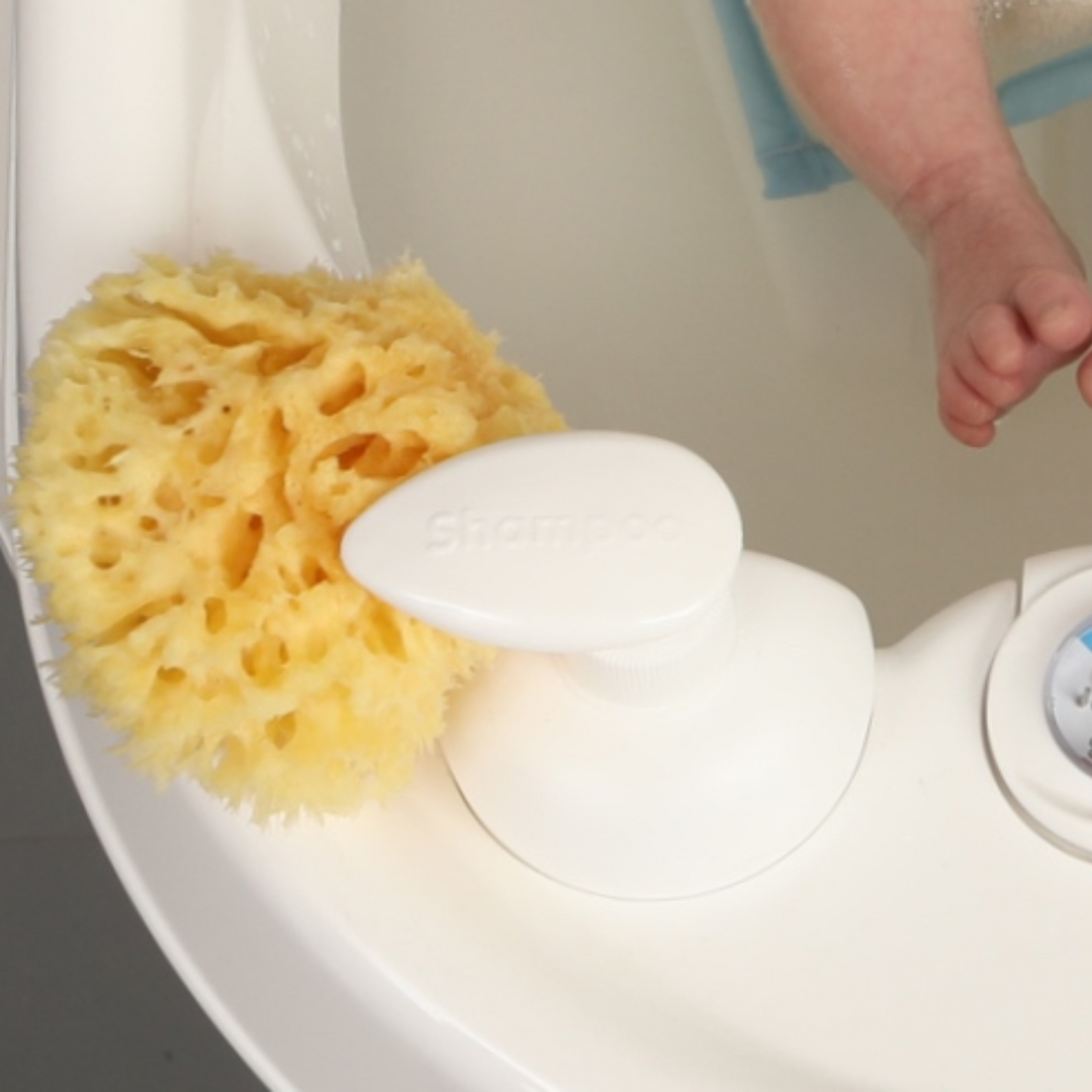 ספוג ים טבעי גדול