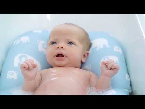 פוף צוף פילים לבנים על ורוד