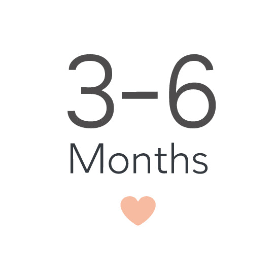 3-6 חודשים