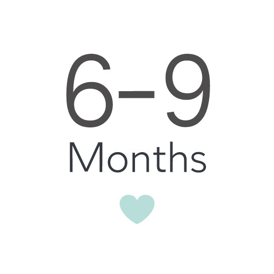 6-9 חודשים