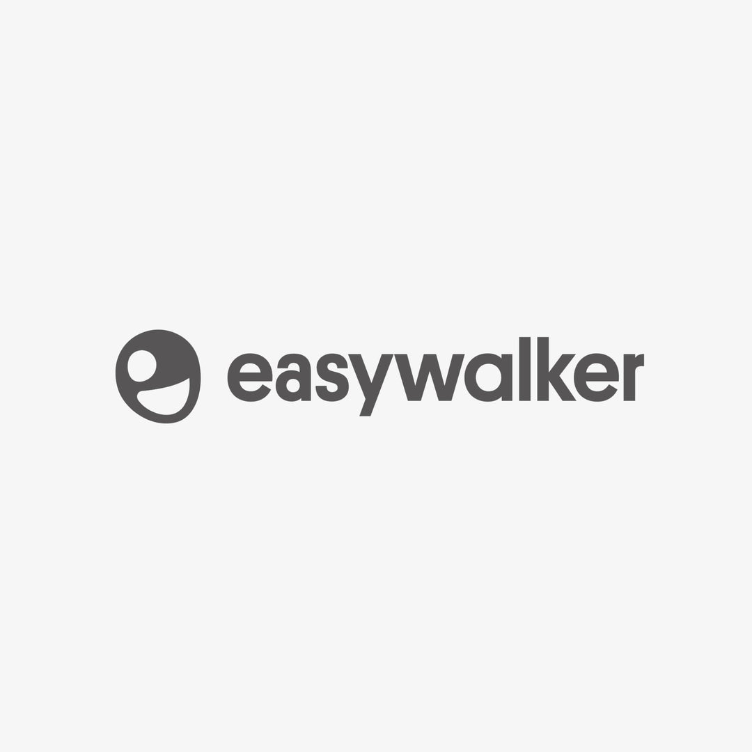 איזי ווקר EasyWalker