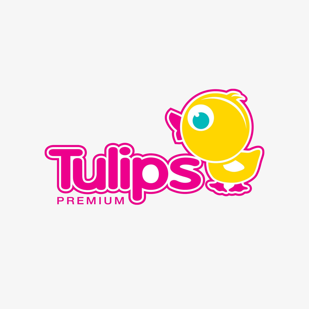 Tulips | טוליפס