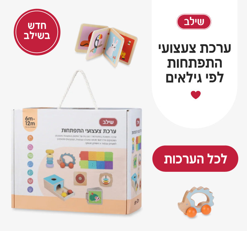 חדש בשילב ערכת צעצועי התפתחות לפי גילאים