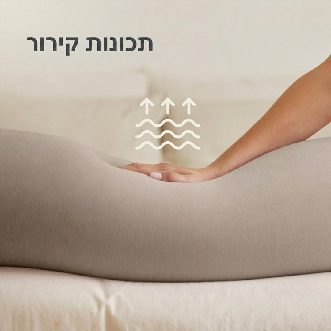 כרית הריון בז'