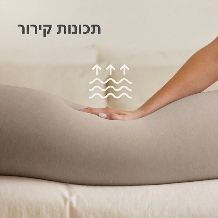 כרית הריון בז'