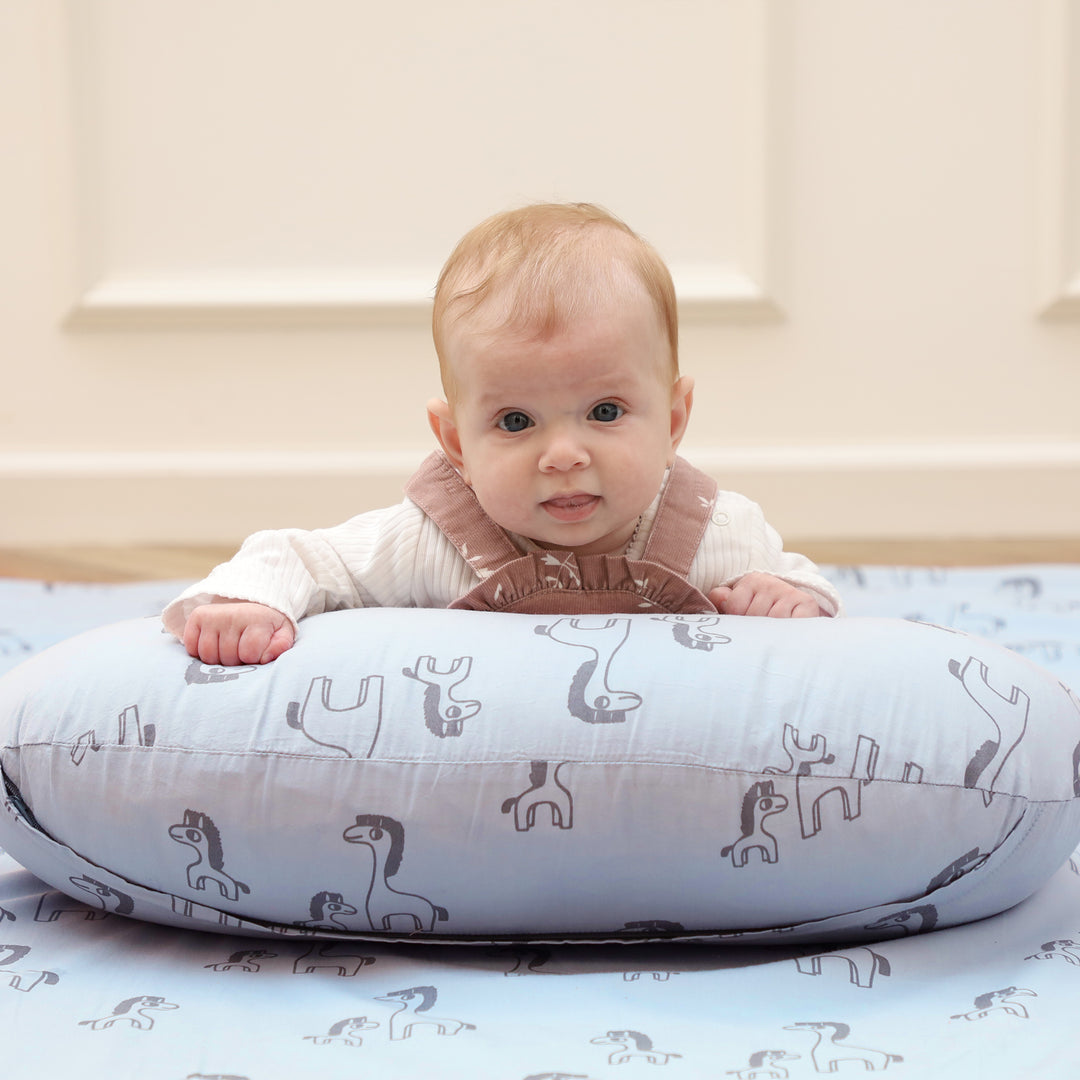 כרית הנקה קומפקט זברה אפור על תכלת