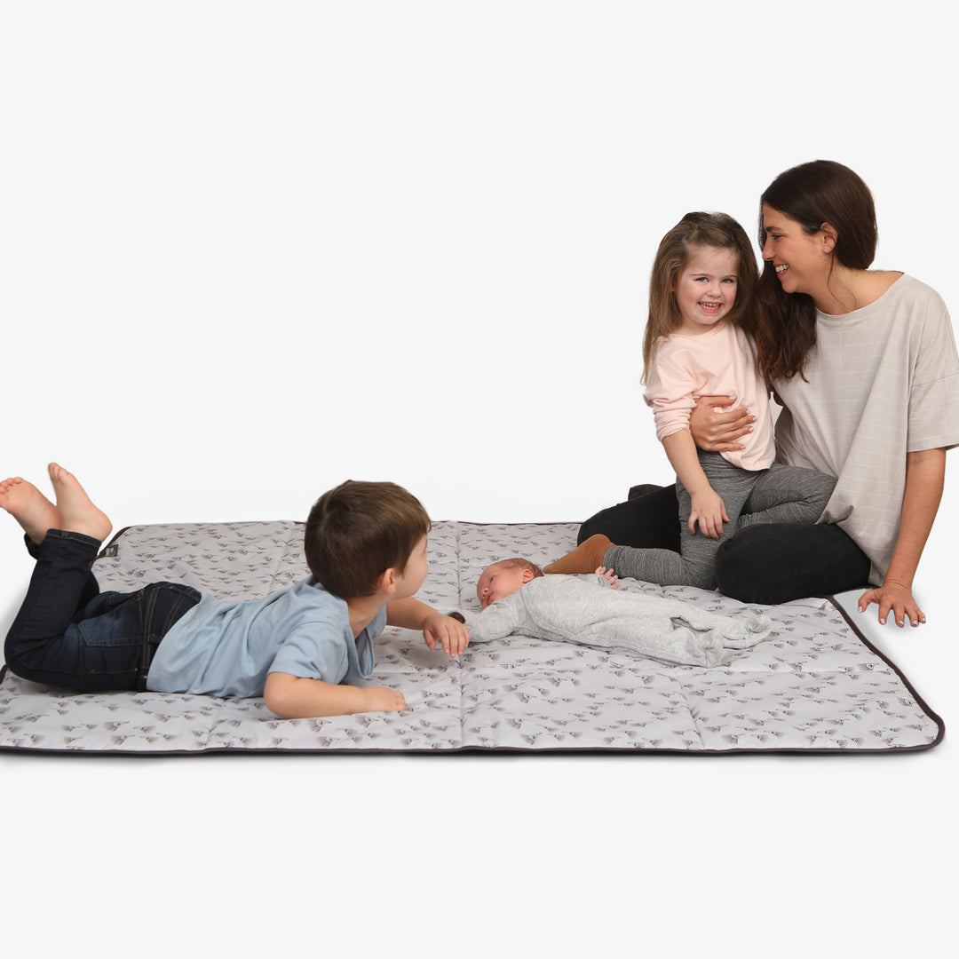 שמיכת פיקניק קיפודים אפור