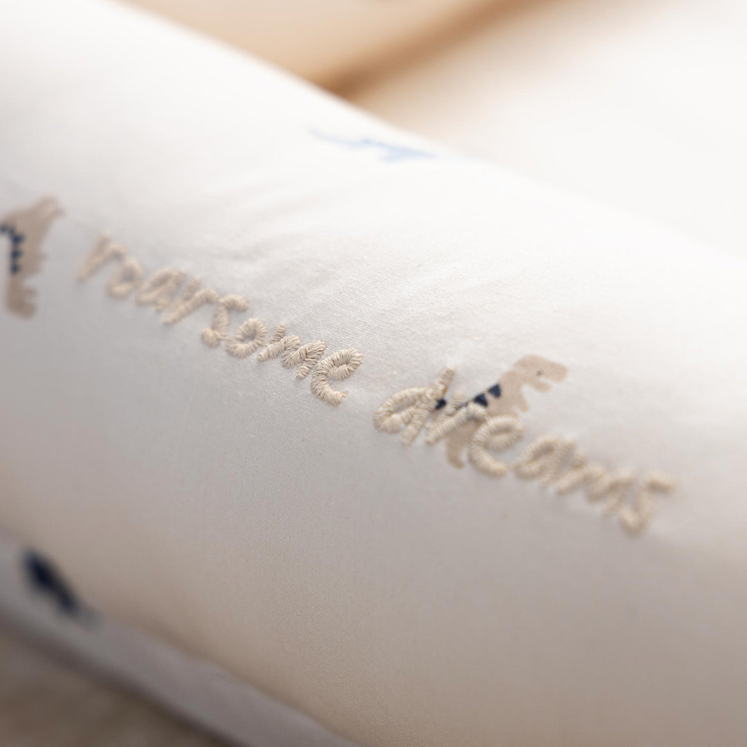 בייבי נסט דינו