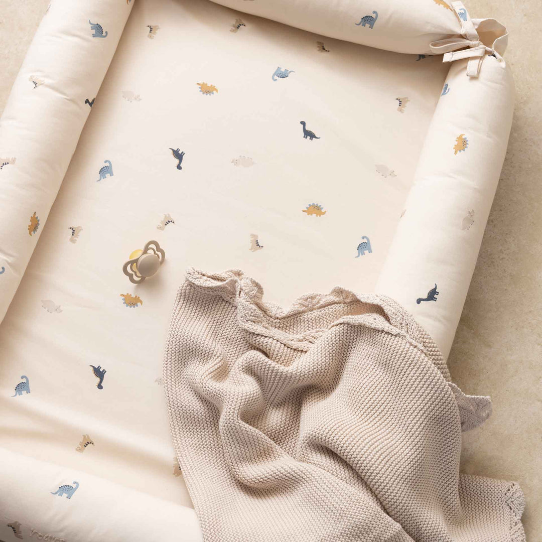 בייבי נסט דינו