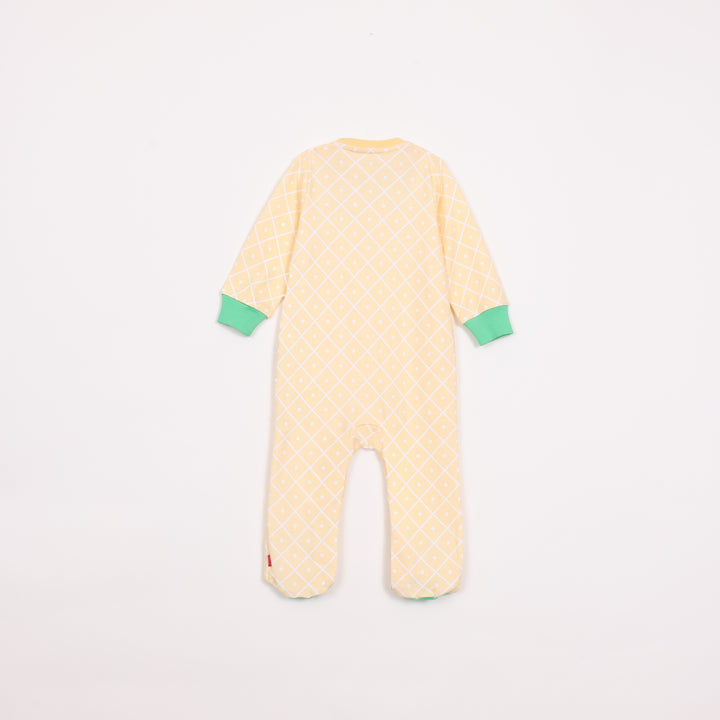 תלבושת לפורים אננס