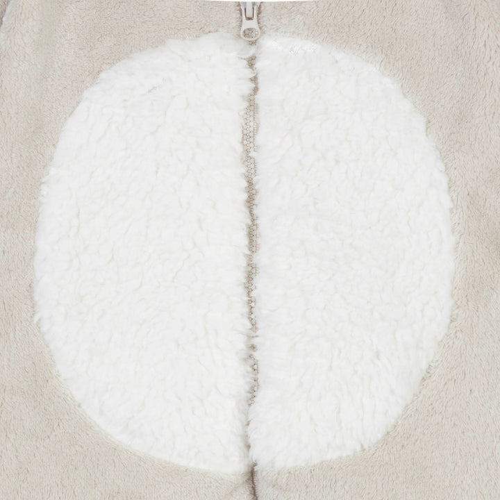 ואנזי חיות אייל