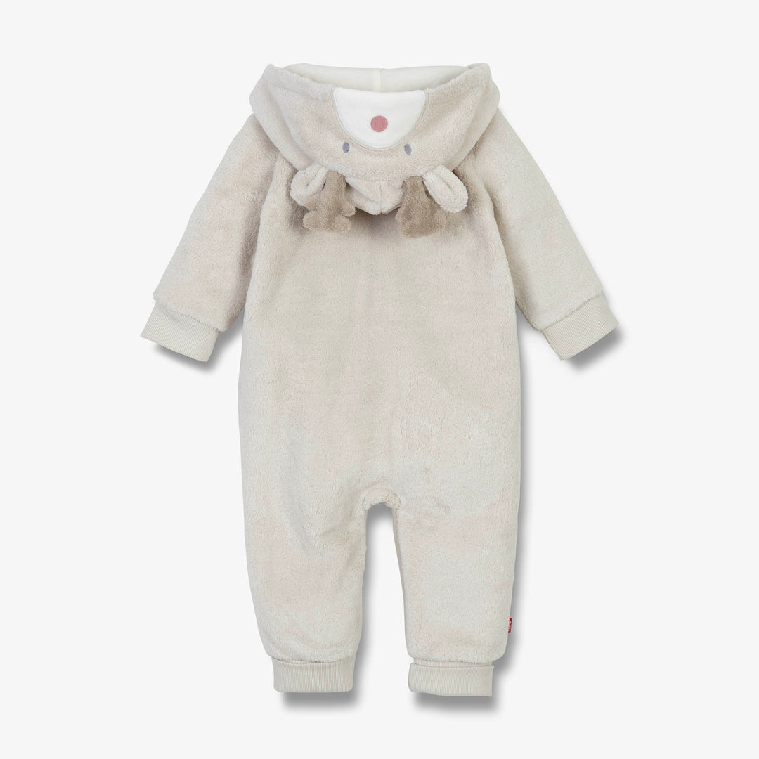 ואנזי חיות אייל