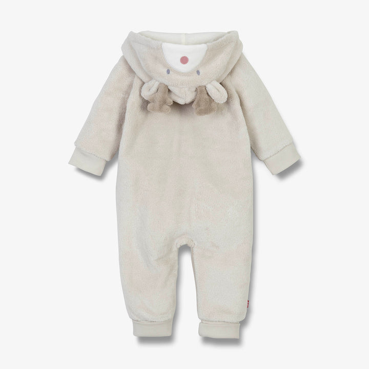 ואנזי חיות אייל