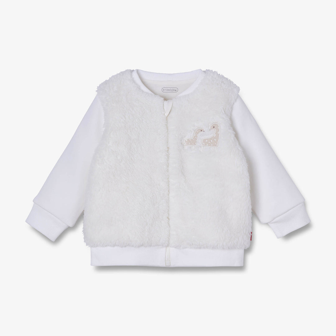 קרדיגן ג'ירפות