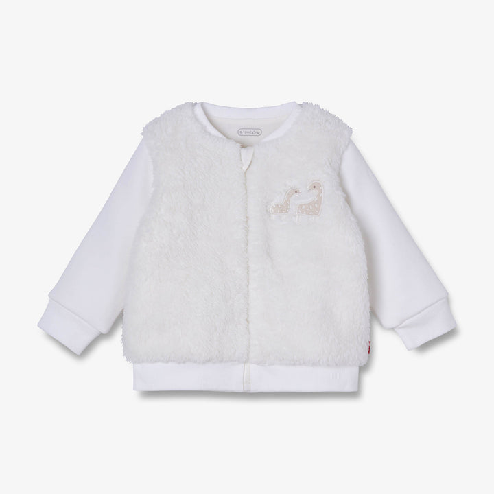 קרדיגן ג'ירפות