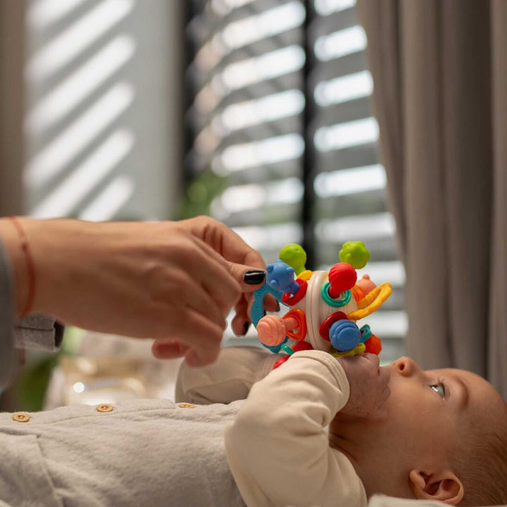 נשכן כדור מסתובב
