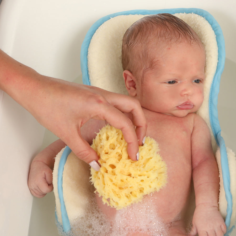 ספוג ים טבעי גדול