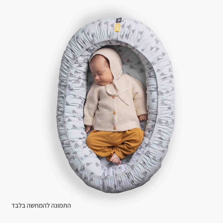 בסיס קן לתינוק קיפודים אפורים
