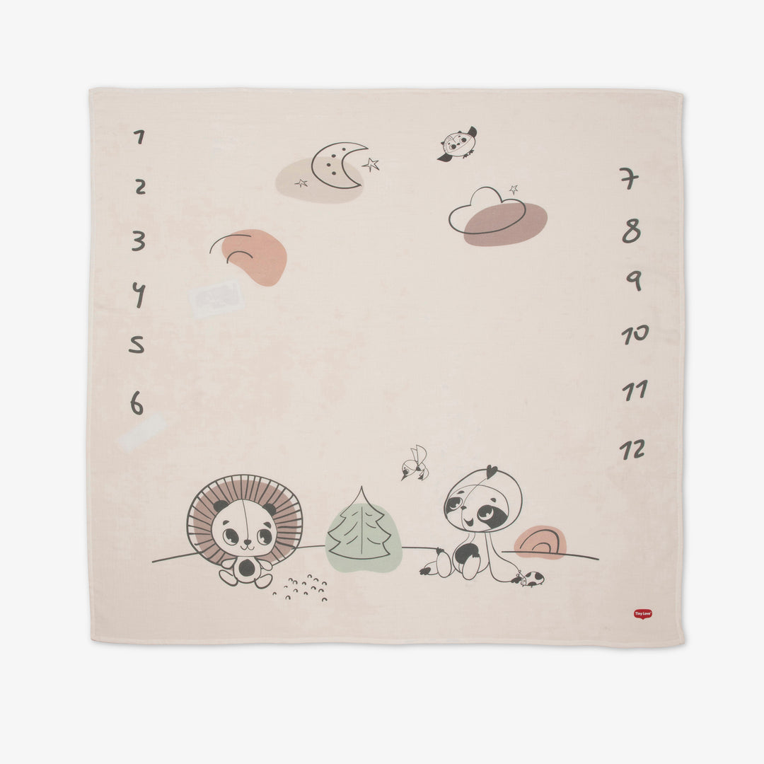 חיתול טטרא חודשים - little dreams