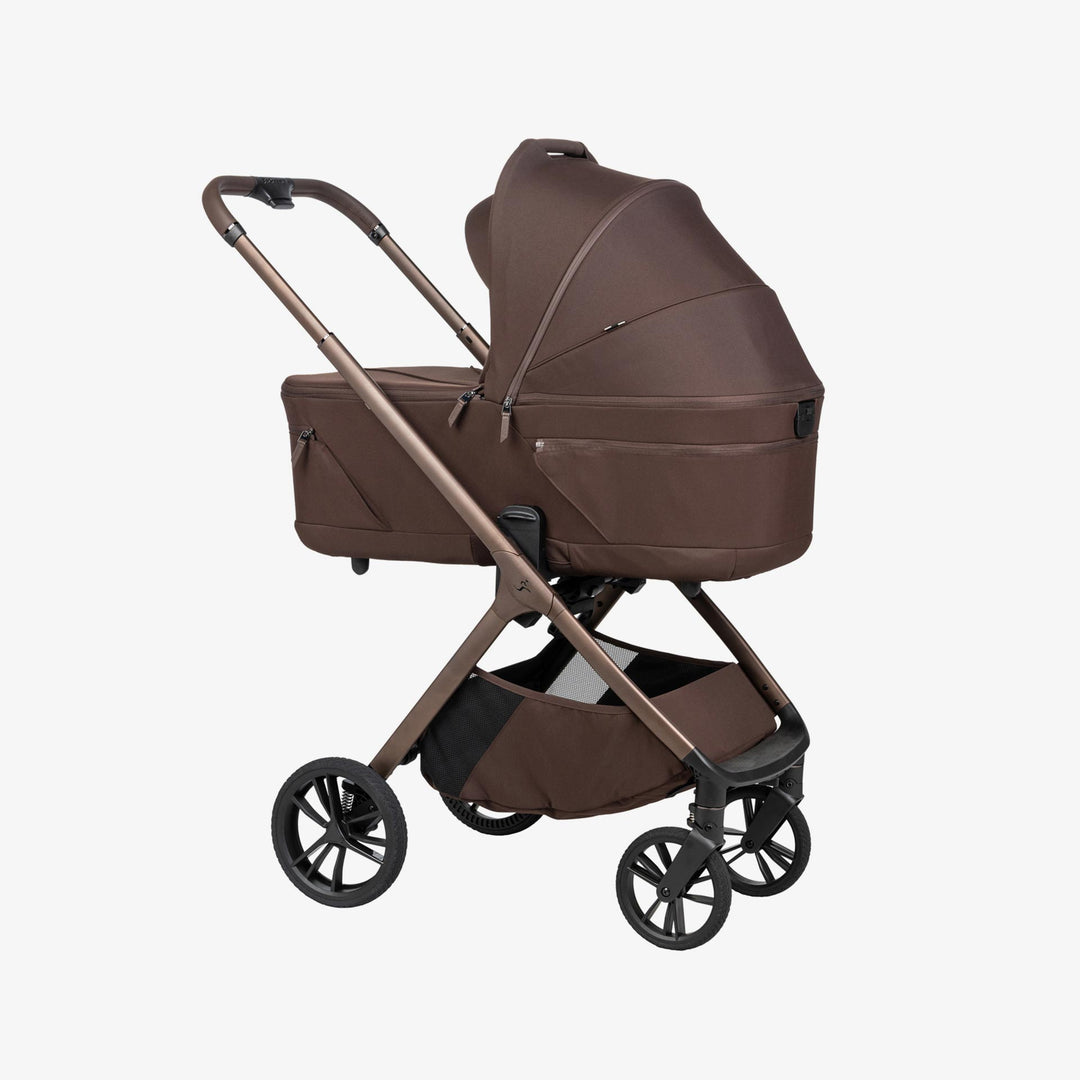 עגלת אליקס שוקולד 26 Alix Chocolate