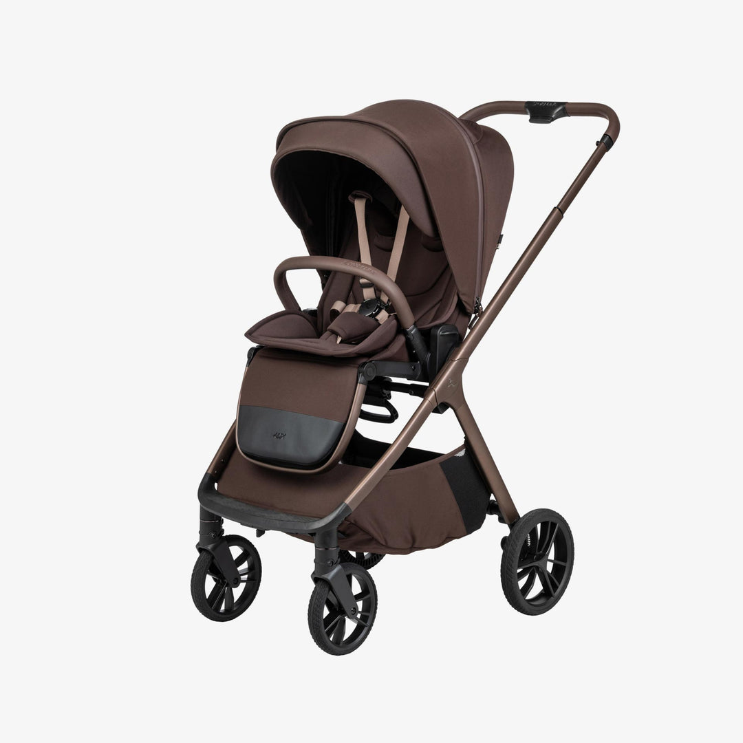 עגלת אליקס שוקולד 26 Alix Chocolate