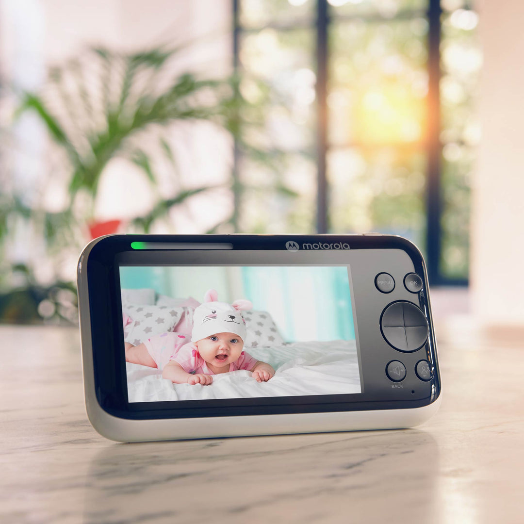 מוטורולה PIP1500 צג 5